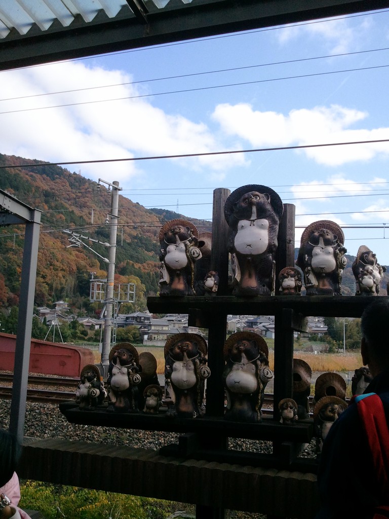嵯峨野觀光電車亀岡駅內陳列的貍貓